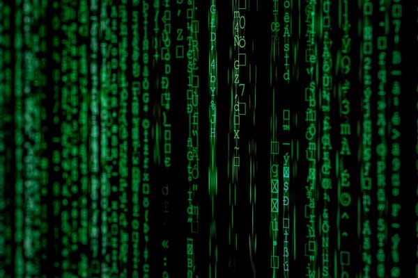 50+ Bizarre, Funny, and Downright Weird Software Licenses, You Do not Know About