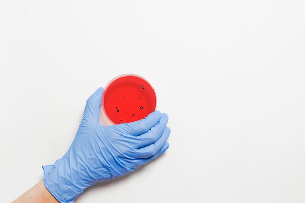 Understanding HIPAA in 2024, PHI and the Four Main HIPAA Rules, Including the new Omnibus Rule
