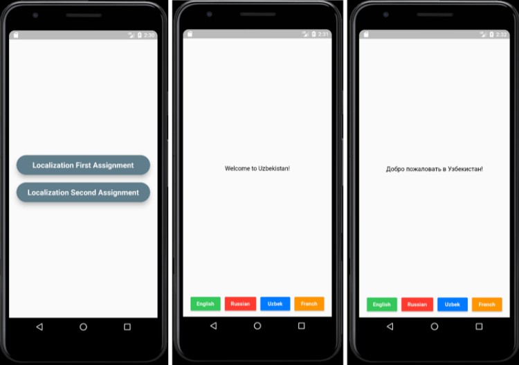 Localization App Built With Flutter : Free Flutter Source Code